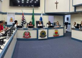 02_06-1-reuniao-frente-parlamentar-feminina-4.jpeg