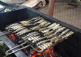 13-edicao-do-festival-da-sardinha-tem-novidades-e-sabores-tradicionais.jpg