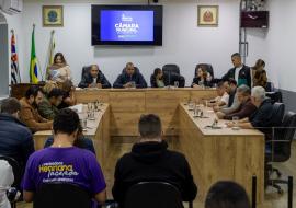 camara-aprova-ldo-ppa-e-amplia-vagas-na-prefeitura.jpg