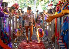 carnapet-promete-muita-diversao-aos-folioes-e-seus-pets-no-sabado-de-carnaval-1.jpg