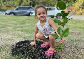 entre-o-verde-e-o-azul-ilhabela-planta-consciencia-e-colhe-esperanca-no-dia-mundial-do-meio-ambiente-2025.jpeg