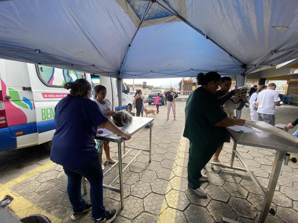 programa-“bem-estar-animal”-vacina-50-pets-na-barra-velha-com-atendimentos-gratuitos.jpg