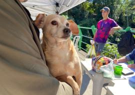 programa-“bem-estar-animal”-vacina-57-pets-no-morro-do-cantagalo-1.jpeg